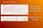 How do I chart … Epidural Catheter Insertion and Anesthetic Drugs Low Thoracic Epidural Pt sitting – skin prep + LA – site T9-10 #17 Touhy – LORTA – easy.