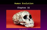 Mader: Biology 8 th Ed. Human Evolution Chapter 32.