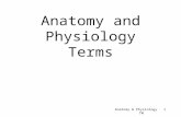 Anatomy and Physiology Terms Anatomy & Physiology TM 1.