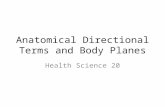 Anatomical Directional Terms and Body Planes Health Science 20.