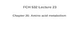 FCH 532 Lecture 23 Chapter 26: Amino acid metabolism.