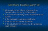 Bell Work- Monday March 30 What would be most likely to happen if the ribosomes in a cell were not functioning? What would be most likely to happen if.