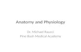 Anatomy and Physiology Dr. Michael Raucci Pine Bush Medical Academy.
