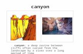 Canyon canyon: a deep ravine between cliffs often carved from the landscape by a river over a long period of time.