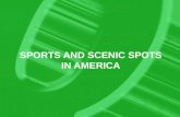 SPORTS AND SCENIC SPOTS IN AMERICA. Sports The American Football baseball Other sports.