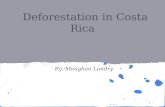 Deforestation in Costa Rica By: Meaghan Landry. Basic Facts About Costa Rica Christopher Columbus discovered Costa Rica in 1502 Costa Rica is known as.