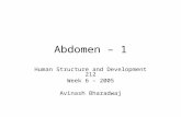 Abdomen â€“ 1 Human Structure and Development 212 Week 6 â€“ 2005 Avinash Bharadwaj