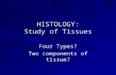 HISTOLOGY: Study of Tissues Four Types? Two components of tissue?
