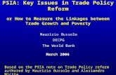 PSIA: Key Issues in Trade Policy Reform or How to Measure the Linkages between Trade Growth and Poverty March 2006 Maurizio Bussolo DECPG The World Bank.