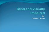 By Alaina Larson. BLIND - WHAT IS IT??? Blindness is the condition of lacking visual perception due to physiological or neurological factors. Visual perception.
