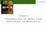 Michael R. Cummings David Reisman University of South Carolina Transmission of Genes From Generation to Generation Chapter 3.
