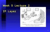 1 Week 5 Lecture 2 IP Layer. 2 Network layer functions transport packet from sending to receiving hosts transport packet from sending to receiving hosts.