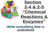 Section 2-4 & 2-5 “Chemical Reactions & Enzymes” Write everything that is underlined.