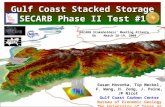 Gulf Coast Stacked Storage SECARB Phase II Test #1 Susan Hovorka, Tip Meckel, F. Wang, H. Zeng, J. Paine, JP Nicot Gulf Coast Carbon Center Bureau of Economic.