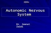 Autonomic Nervous System Dr. Zeenat Zaidi. OBJECTIVES At the end of the lecture, students should be able to:  Define the autonomic nervous system.