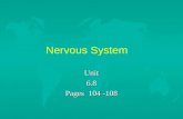Nervous System Unit6.8 Pages 104 -108. Key Terms u autonomic nervous system u brain u central nervous system u cerebrum u diencephalon u hypothalamus.