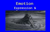 Emotion Expression & Experience. What is emotion? No scientific definition Controlled by distinct neuronal circuits within the brain We experience emotion