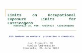 Juan Alguacil, MD Huelva University Brussels, 26 June 2012 Limits on Occupational Exposure Limits for Carcinogens 8th Seminar on workers’ protection &