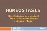HOMEOSTASIS NCS 2011 Laura Kannemeyer Maintaining a constant internal environment (tissue fluid)