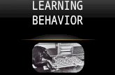 LEARNING BEHAVIOR. WHAT IS LEARNING???? LEARNING IS EXPERIENCE-BASED MODIFICATION OF BEHAVIOR Animals need not witness a developmentally fixed (innate)