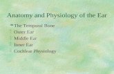 Anatomy and Physiology of the Ear §The Temporal Bone §Outer Ear §Middle Ear §Inner Ear §Cochlear Physiology.