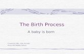 The Birth Process A baby is born Created by Mrs. Jane Ziemba Perryville Middle School.