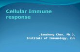 Jianzhong Chen, Ph.D. Institute of Immunology, ZJU.