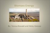 Biomass Energy By: Teresa Rewald and Nicky Gioioso.