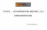 TIPEIL - DISSEMINATION MEETING (fr) EXPERIMENTATION Francesco Rappoccio Francesco Rappoccio.