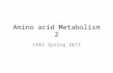 Amino acid Metabolism 2 C483 Spring 2013. 1. Arginine is biosynthesized from this precursor: A)Pyruvate B)Oxaloacetate C)  -ketoglutarate D)3-phosphoglycerate.
