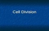 Cell Division. Occurs in the nucleus of a cell Occurs in the nucleus of a cell The cell must make a copy/replicatation of its DNA -genetic code (part.