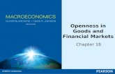 Openness in Goods and Financial Markets Chapter 18.