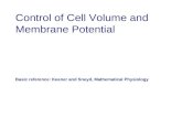 Control of Cell Volume and Membrane Potential Basic reference: Keener and Sneyd, Mathematical Physiology.