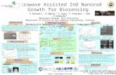 Http://nanojapan.rice.edu Microwave Assisted ZnO Nanorod Growth for Biosensing This material is based upon work supported by the National Science Foundation.