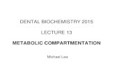 DENTAL BIOCHEMISTRY 2015 LECTURE 13 METABOLIC COMPARTMENTATION Michael Lea.