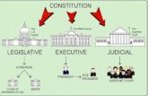 The U.S. Congress: The People’s Branch The Role of Congress A Bicameral Legislature Senate vs. House Organization & Leadership The Committee System Lame.