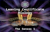 The Senses 1 Leaving Certificate Biology                € 100 € 200 € 300 € 500 € 2,000 € 1,000 € 4,000 € 8,000 € 16,000 € 32,000 € 64,000.