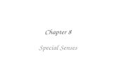 Chapter 8 Special Senses. Chemical Senses Taste Reception Taste Buds – Repair in 7-10 days have 10,000 – gustatory cells respond to chemical dissolved.