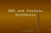 RNA and Protein Synthesis. Write these terms in your journal Ribosome — makes proteins Ribosome — makes proteins RNA polymerase — enzyme that puts together.
