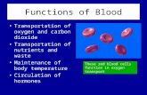 Functions of Blood Transportation of oxygen and carbon dioxide Transportation of nutrients and waste Maintenance of body temperature Circulation of hormones.