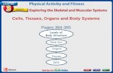 Cells, Tissues, Organs and Body Systems Pages 384-385 Tissues Organs Body Sys.