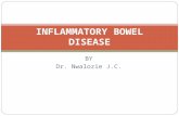 BY Dr. Nwalozie J.C. INFLAMMATORY BOWEL DISEASE. Outline Introduction Classification Epidemiology Aetiopathogenesis Pathology Clinical presentation -G.I.