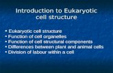Introduction to Eukaryotic cell structure Eukaryotic cell structure Function of cell organelles Function of cell structural components Differences between