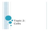 Topic 2: Cells. Cell Theory 2.1.1 Outline the cell theory Cell theory has three main principles 1.All organisms are composed of one or more cells 2.Cells.