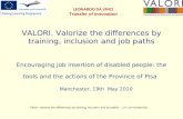 VALORI. Valorize the differences by training, inclusion and job paths Encouraging job insertion of disabled people: the tools and the actions of the Province.