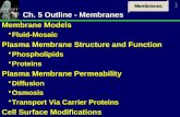 Membranes 1 Ch. 5 Outline - Membranes Membrane Models ï‚ Fluid-Mosaic Plasma Membrane Structure and Function ï‚ Phospholipids ï‚ Proteins Plasma Membrane