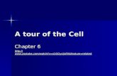 A tour of the Cell Chapter 6 .