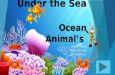 Under the Sea Ocean Animal’s Second Grade Ocean Animal’s Ms. Yazwinsky.
