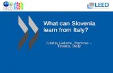What can Slovenia learn from Italy? Giulia Galera, Euricse – Trento, Italy.