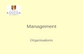 Management Organisations. Useful vocabulary Team structure Matrix structure Project structure Boundaryless organisation Virtual organisation Network organisation